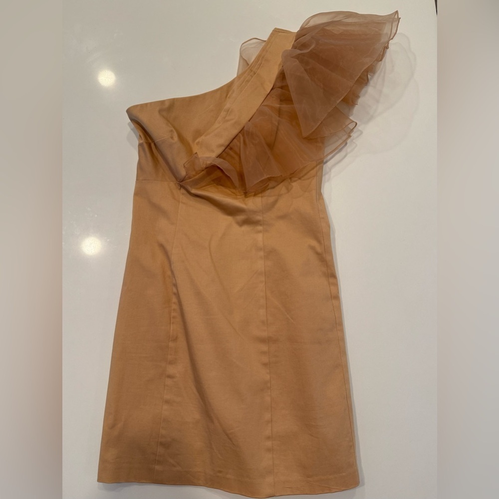 Mark + James by Badgley Mischka Organza One-Shoulder Tan Ruffle Dress